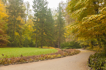 glade in autumn park