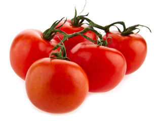 tomatoes