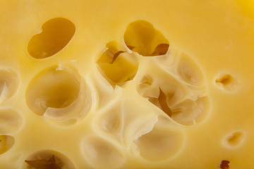 cheese as background