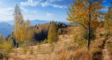 Fototapeta premium rock massif in the Carpathians