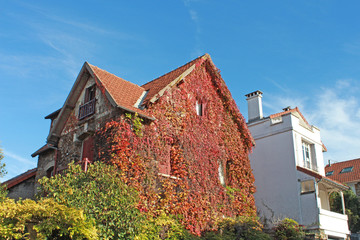 Paris quartier de la Mouzaïa