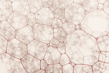 Fototapeta premium Grid