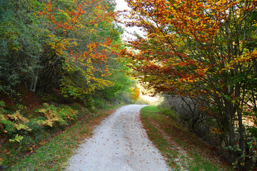 Obraz premium via verde en burgos, ferrocarril minero