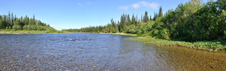 Fototapeta na wymiar Panorama of the wild river.