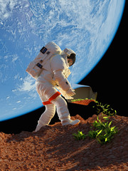 Astronaut grass plants.