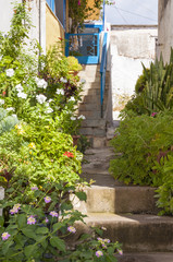 Fototapeta na wymiar Potted Plants in the Street of Hora Sfakion on Crete