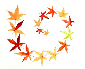 Bl&auml;tterwirbel, Ahornlaub wirbelt im Wind, freigestellt