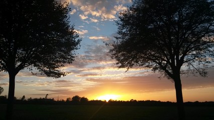 Sonnenuntergang zwischen Bäumen