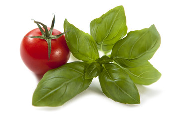 petite tomate et basilic frais