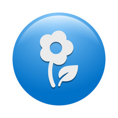 Vector Icon