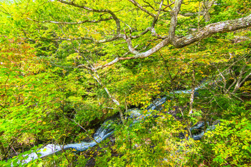 Ryuzu no taki waterfall