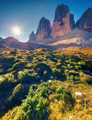 Fototapeta premium View of the sunny morning in National Park Tre Cime di Lavaredo.