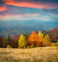 Fototapeta premium Colorful autumn morning in the Carpathian mountains