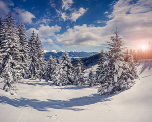 Beautiful winter landscape in the mountains