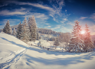 Beautiful winter landscape in the mountains