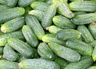 texture of the cucumber is photographed