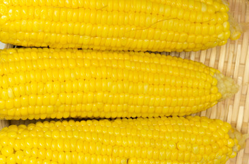 Corn