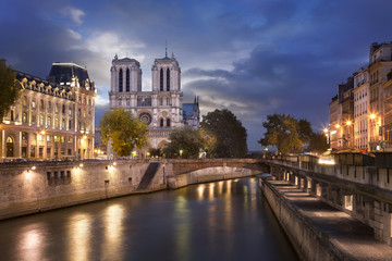 Cathédrale Notre-Dame de Paris - obrazy, fototapety, plakaty
