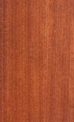 Naklejka premium Walnut Wood Texture