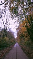 Fototapeta premium Herbstweg gerade