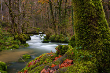 Doubs - Cascade - Cirque des Consolations
