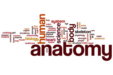 Anatomy word cloud