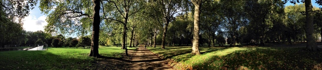 Fototapeta na wymiar Suggestive view of the Green Park in London 