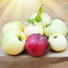 Organic Apples. Healthy food. Natural products