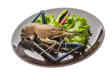 Freshwater prawn