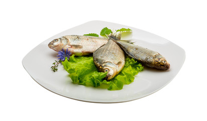 Crucian fish