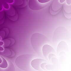 purple lotus form flower
