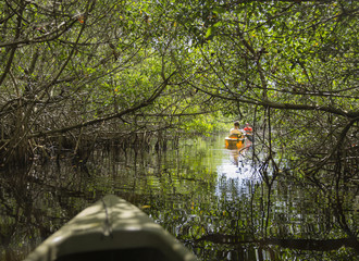 Kayaking in Everglades National park, Florida, USA