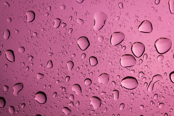 Water drop on pink background.