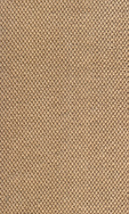 Beige Fabric Texture