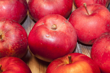 Red apple fruits