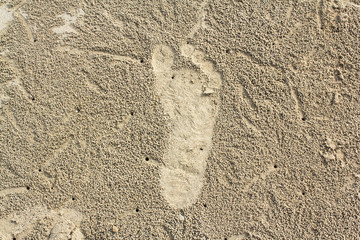 Footprints in the sand