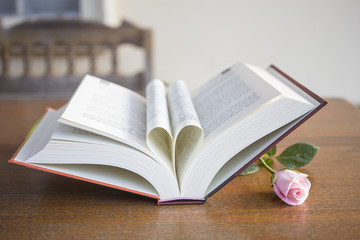 the page roll like heart and pink rose