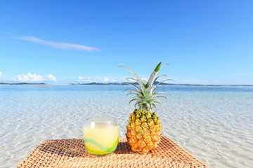 南国の美しいビーチとフルーツ