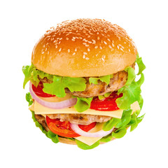 Big hamburger on white background