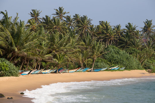 Tropical beach, palm trees and wooden boats in Sri Lanka