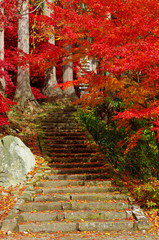 紅葉と石段