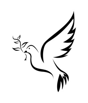 Dove Bird Peace