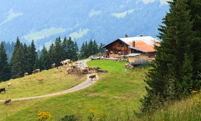 Berge Alpen Bayern wald