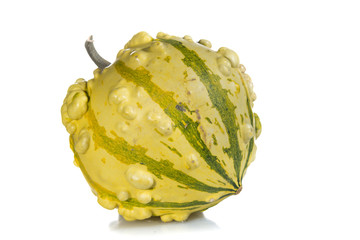 Naklejka premium Coloquinte, cucurbitacée