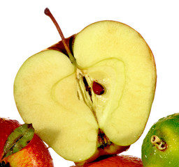 slice of apple
