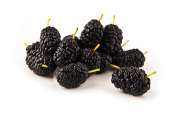 mulberry