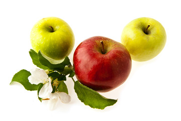 apples