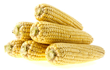 corn