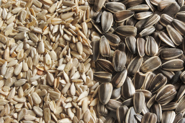 Sunflower as ingredient