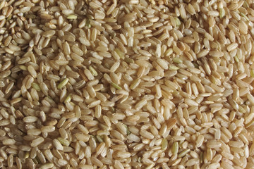 brown rice texture